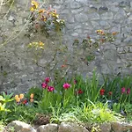 Old Stables, Hidden Period Gem, Spectacular Garden *