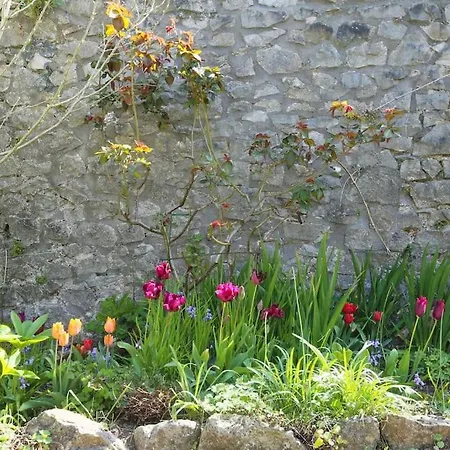 Old Stables, Hidden Period Gem, Spectacular Garden *