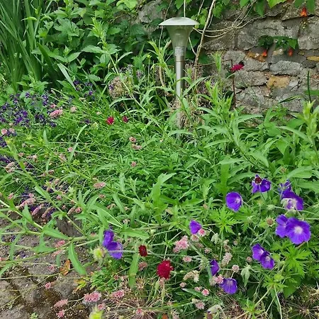 Old Stables, Hidden Period Gem, Spectacular Garden * Bristol