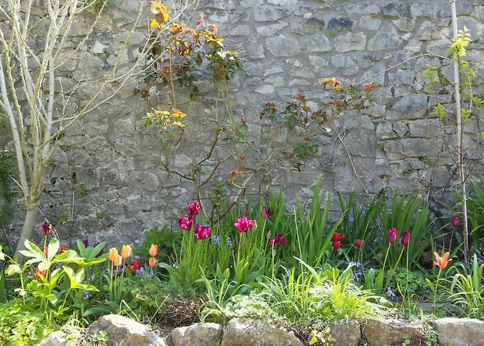 Old Stables, Hidden Period Gem, Spectacular Garden *